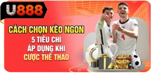 Cách Chọn Kèo Ngon - 5 Tiêu Chí Áp Dụng Khi Cược Thể Thao