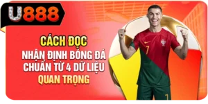 Cách Đọc Nhận Định Bóng Đá Chuẩn Từ 4 Dữ Liệu Quan Trọng