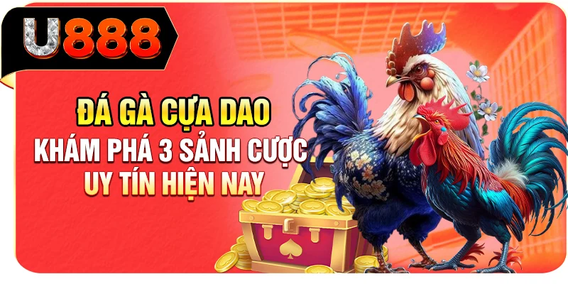 Đá Gà Cựa Dao - Khám Phá 3 Sảnh Cược Uy Tín Hiện Nay
