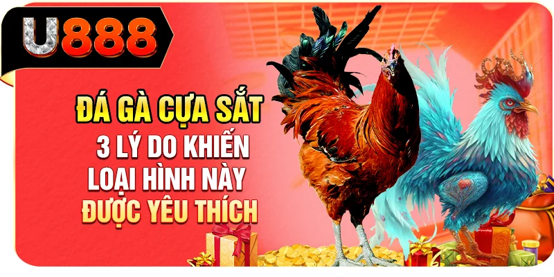 Đá Gà Cựa Sắt - 3 Lý Do Khiến Loại Hình Này Được Yêu Thích