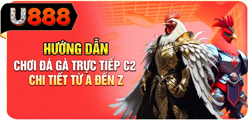 Hướng Dẫn Chơi Đá Gà Trực Tiếp C2 Chi Tiết Từ A Đến Z