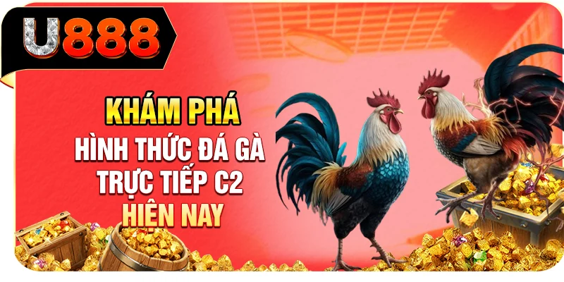 Khám phá hình thức đá gà trực tiếp C2 hiện nay