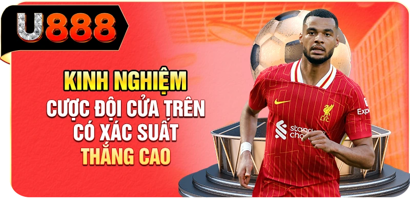 Kinh nghiệm cược đội cửa trên có xác suất thắng cao